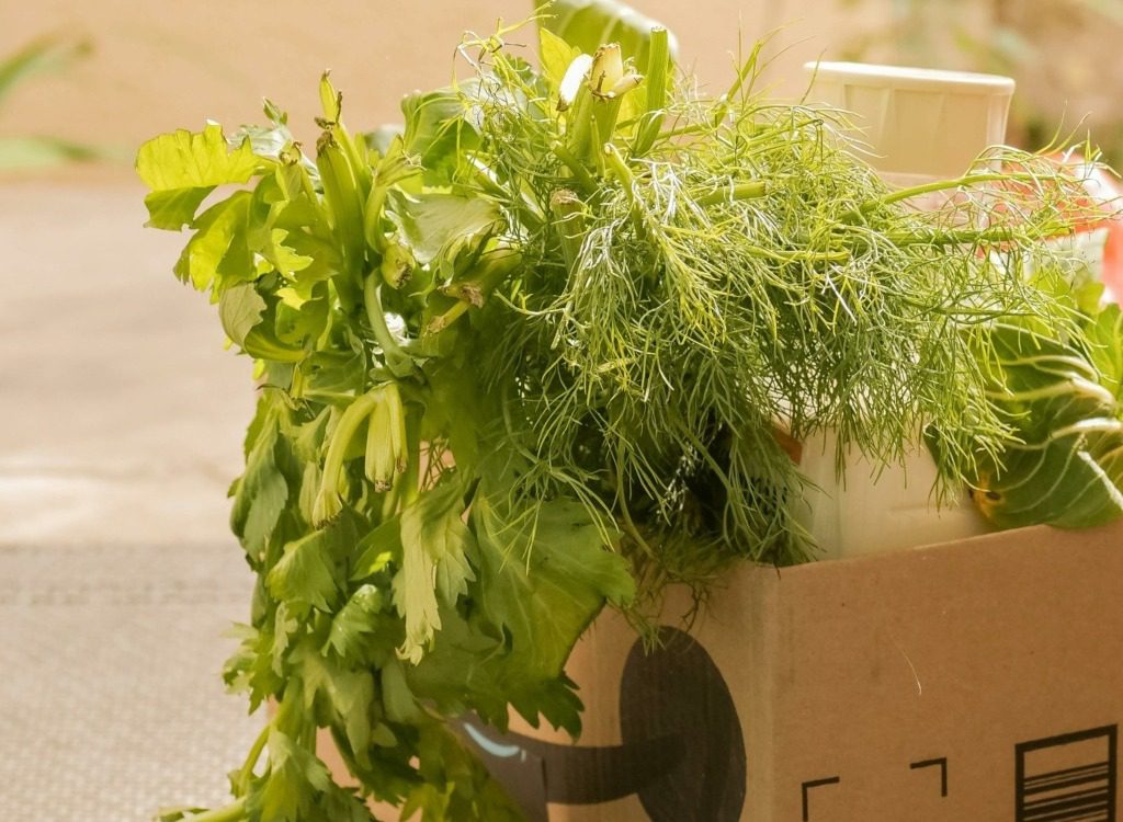 L’emballage carton alimentaire : au service de la fraîcheur et de l’environnement