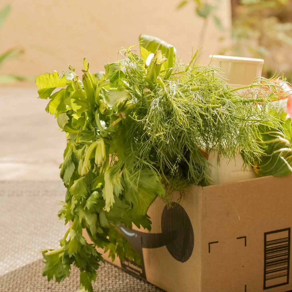 L’emballage carton alimentaire : au service de la fraîcheur et de l’environnement