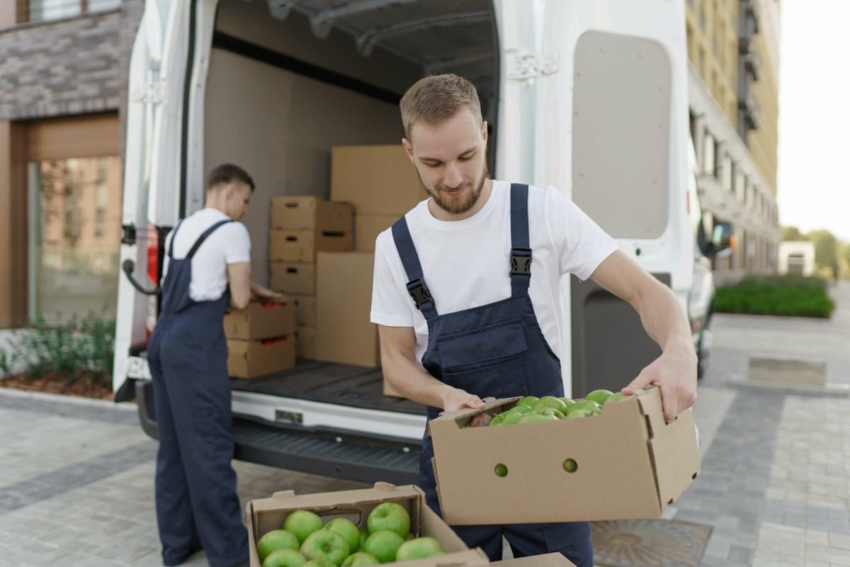 Emballage alimentaire en carton : conditionnement et transport